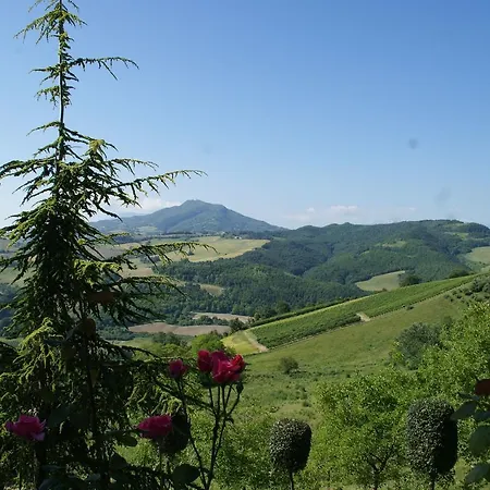 Holiday In The Countryside With Swimming Pool And Tennis Court Дом отдыха Montelparo